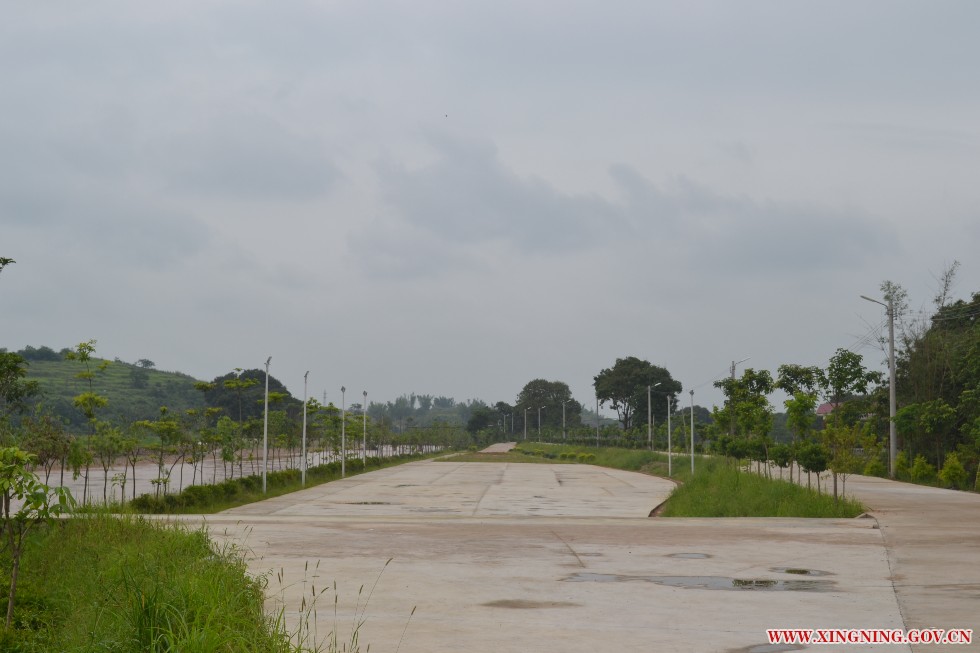 美丽乡村-溪唇堤路悠闲长廊.JPG