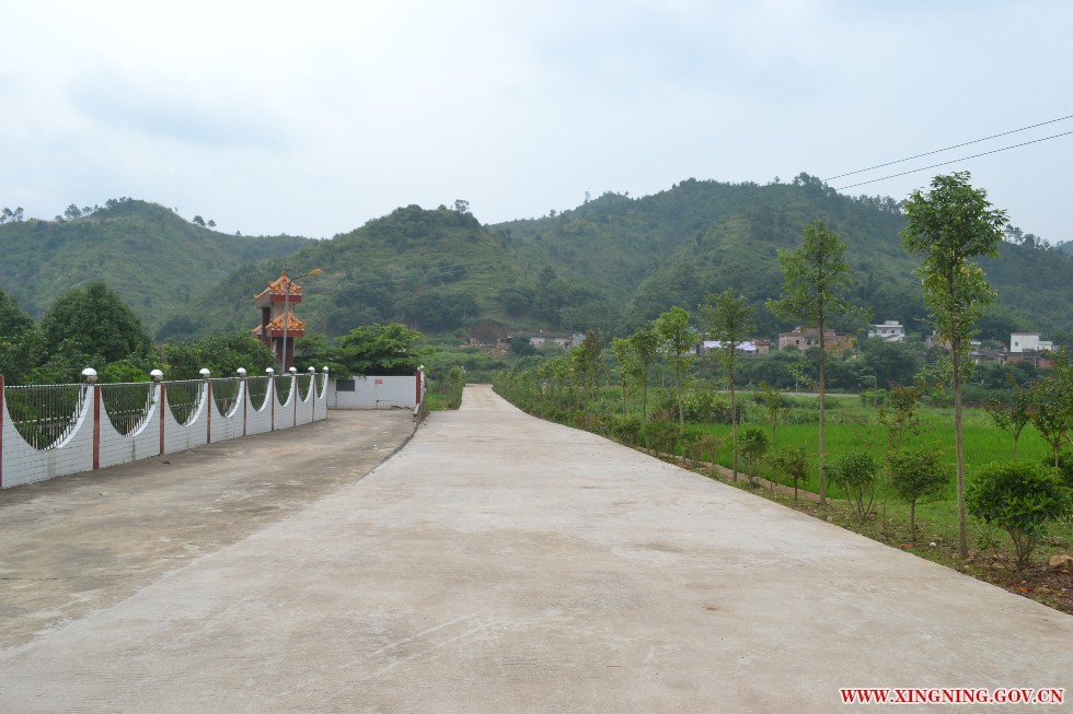 美丽乡村-中官景观路.JPG