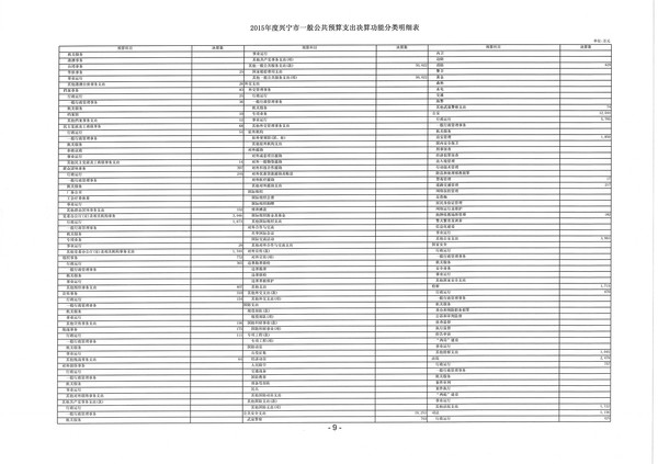 2015年度环球国际官网
一般公共预算支出决算功能分类明细表9.jpg