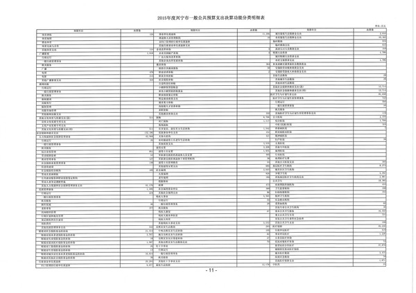 2015年度环球国际官网
一般公共预算支出决算功能分类明细表11.jpg