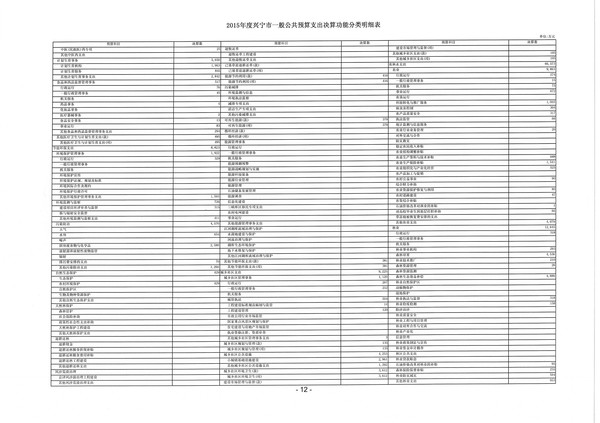 2015年度环球国际官网
一般公共预算支出决算功能分类明细表12.jpg