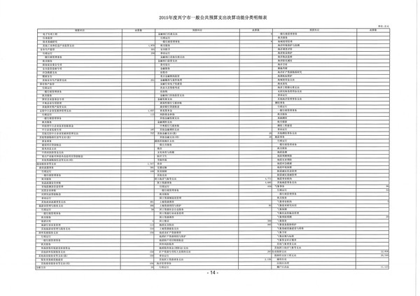 2015年度环球国际官网
一般公共预算支出决算功能分类明细表14.jpg