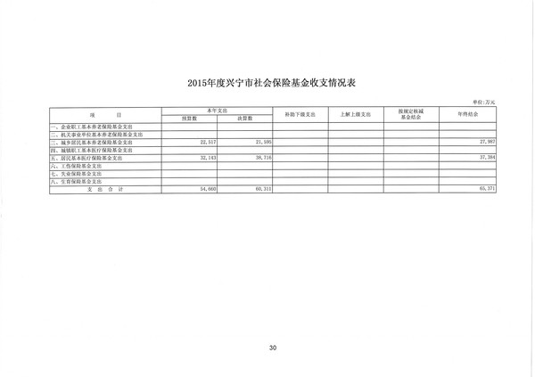 2015年度环球国际官网
社会保险基金收支情况表30.jpg