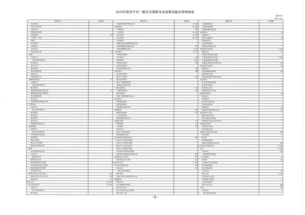 2016年度环球国际官网
一般公共预算支出决算功能分类明细表03.jpg