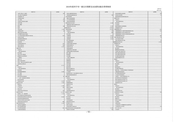 2016年度环球国际官网
一般公共预算支出决算功能分类明细表06.jpg