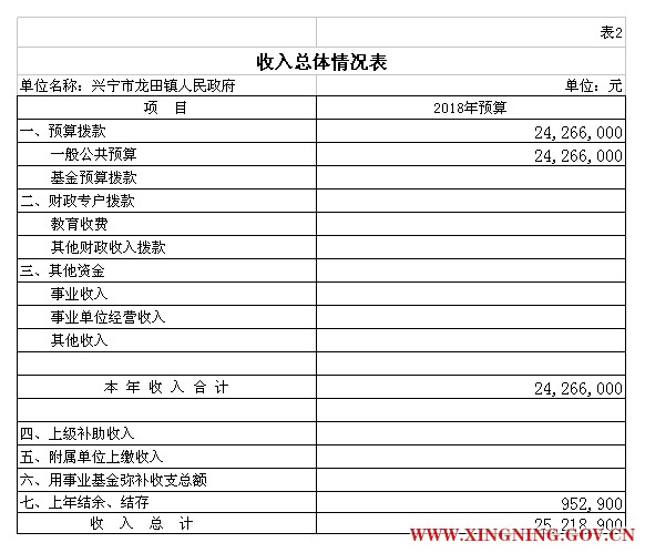 表2 2部门预算公开模板（电子表格18年补充）.jpg