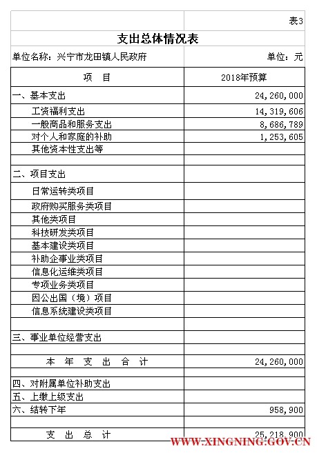 表3 2部门预算公开模板（电子表格18年补充）.jpg