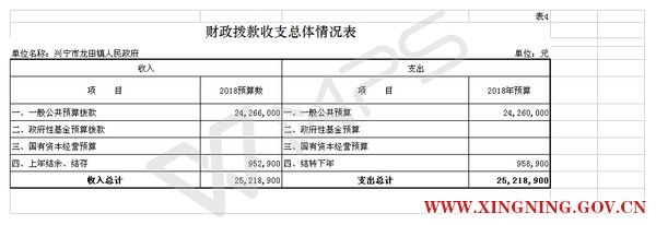 表4 2部门预算公开模板（电子表格18年补充）.jpg