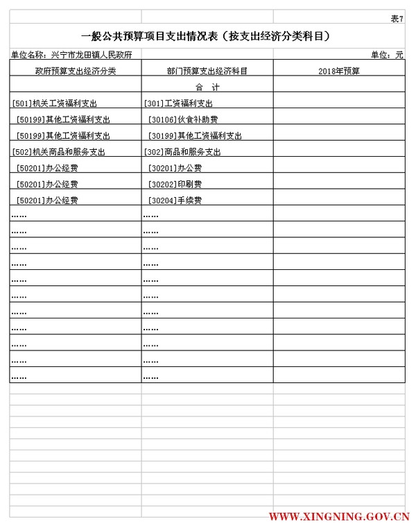 表7 2部门预算公开模板（电子表格18年补充）.jpg