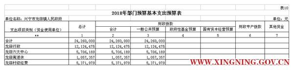 表10 2部门预算公开模板（电子表格18年补充）.jpg