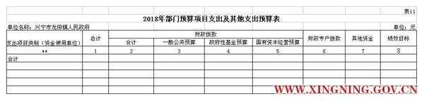 表11 2部门预算公开模板（电子表格18年补充）.jpg