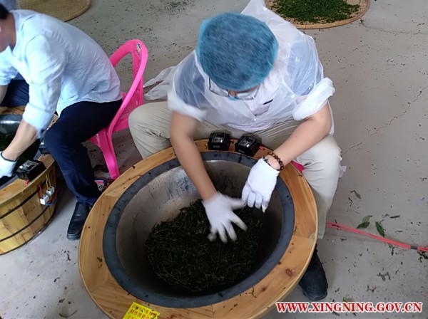 微信图片_20190530194539.jpg
